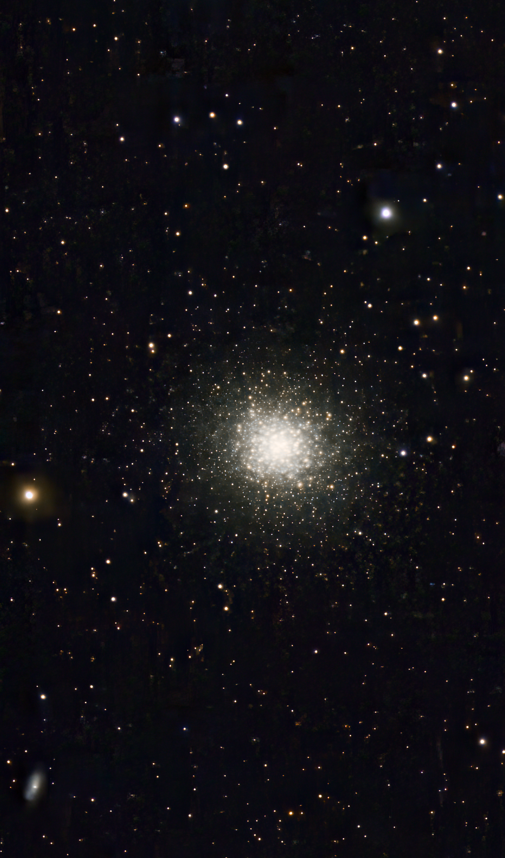 M13